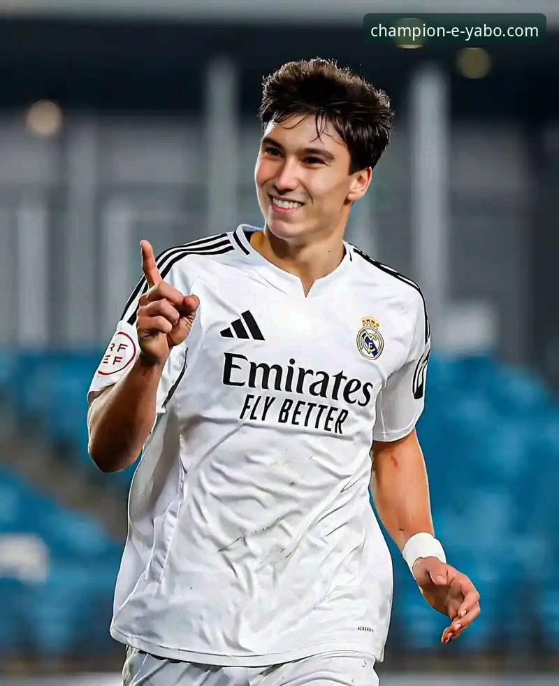 皇家盐湖城vs多特蒙德：18岁新星赫扎尔哈尼的欧洲豪门争夺战